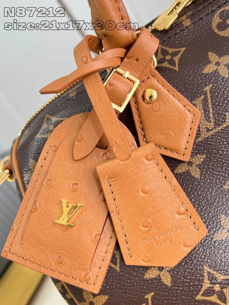 Louis Vuitton Speedy Bags Chic 41067