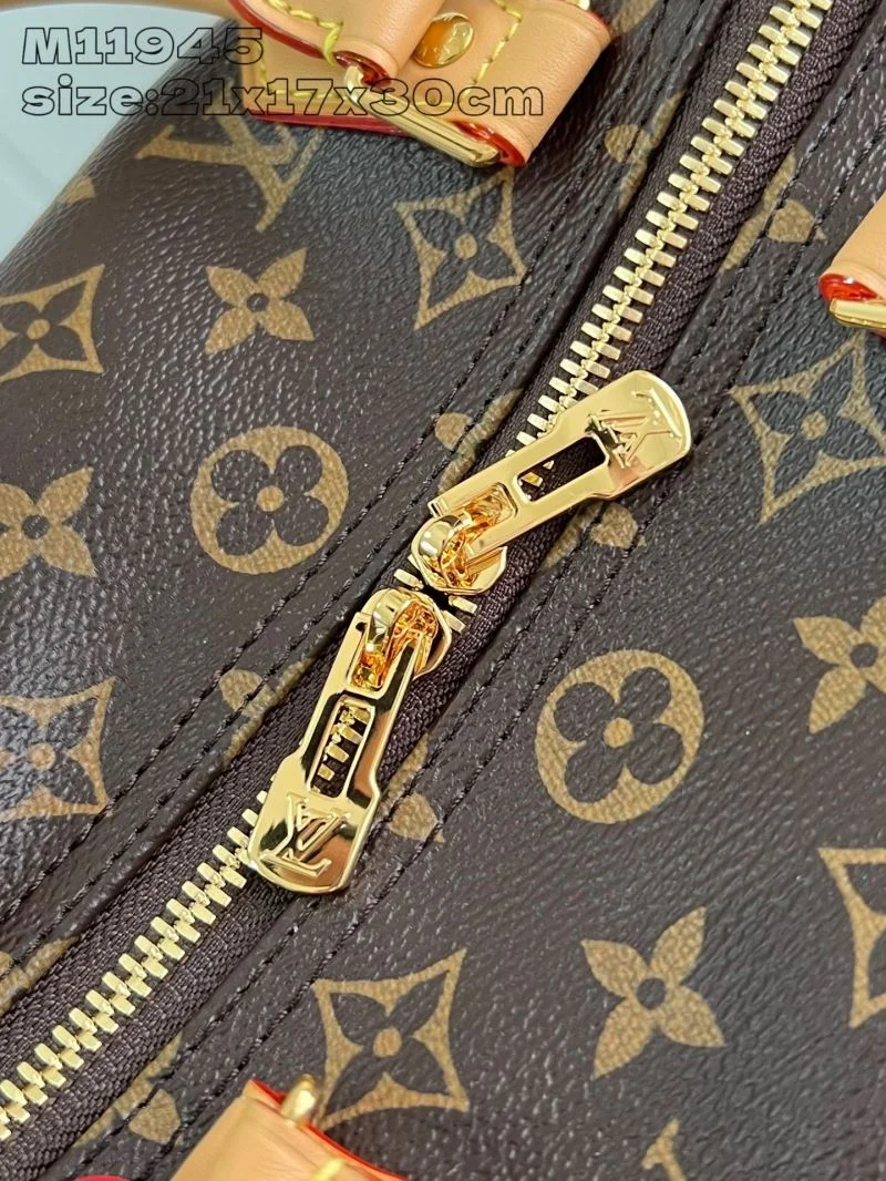 Louis Vuitton Speedy Bags EyeCatching 41065