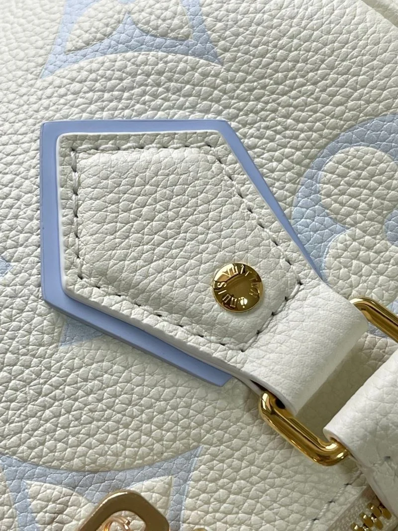 EyeCatching Louis Vuitton Speedy Bags 41062