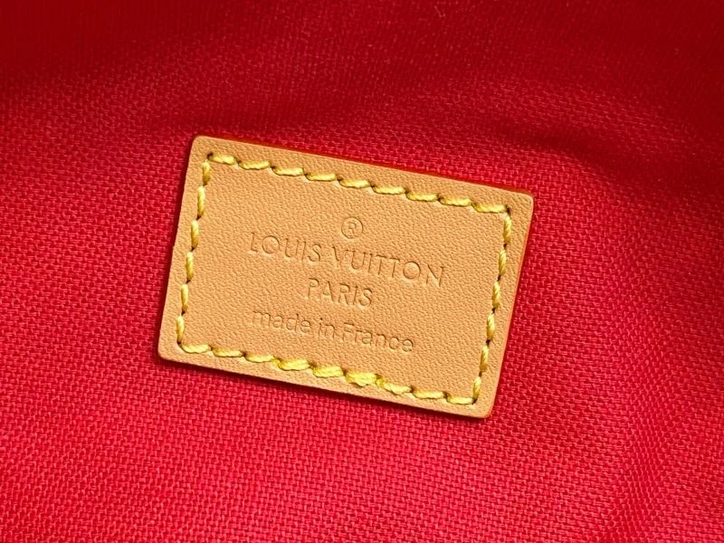 Louis Vuitton Speedy Bags Thermal 41079