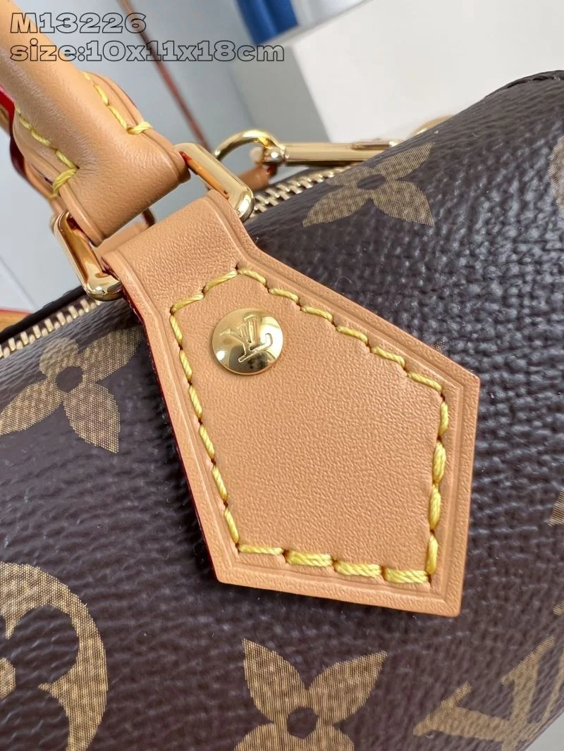 Louis Vuitton Speedy Bags EasyCare 40407