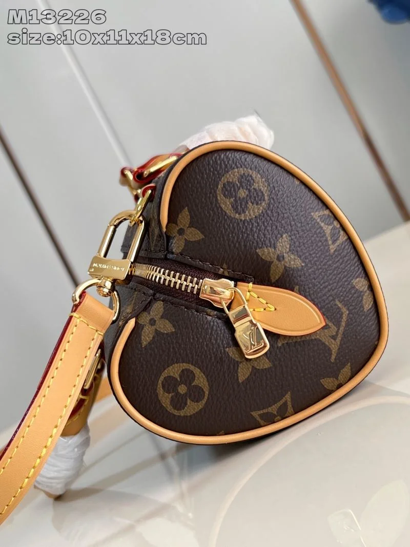 Louis Vuitton Speedy Bags EasyCare 40407