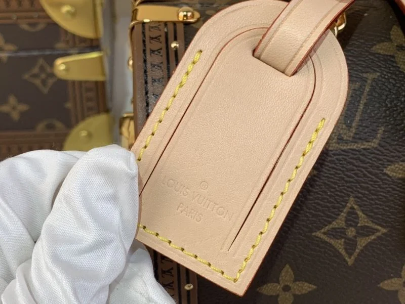 Louis Vuitton Speedy Bags Resilient 40410