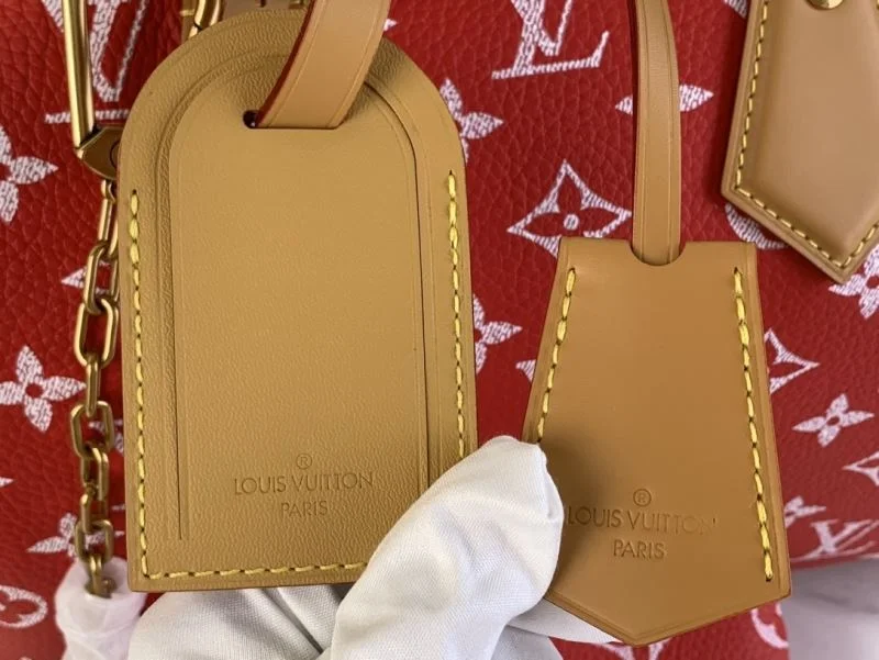 DailyWear Louis Vuitton Speedy Bags 40400