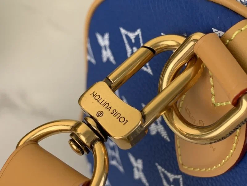 Louis Vuitton Speedy Bags Vibrant 40399