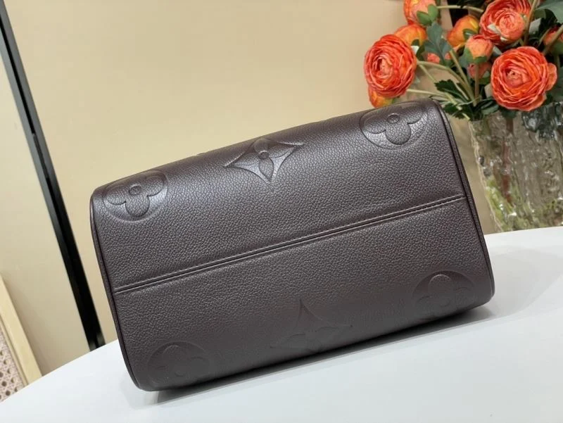 Louis Vuitton Speedy Bags EasyCare 40379