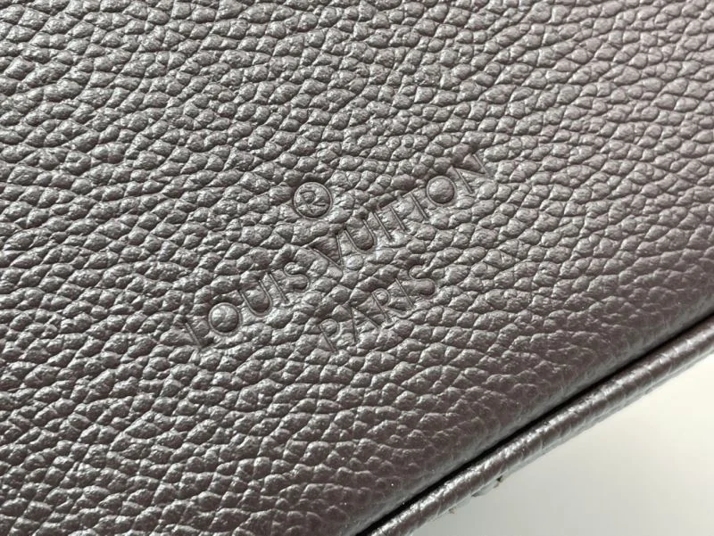 Louis Vuitton Speedy Bags EasyCare 40379