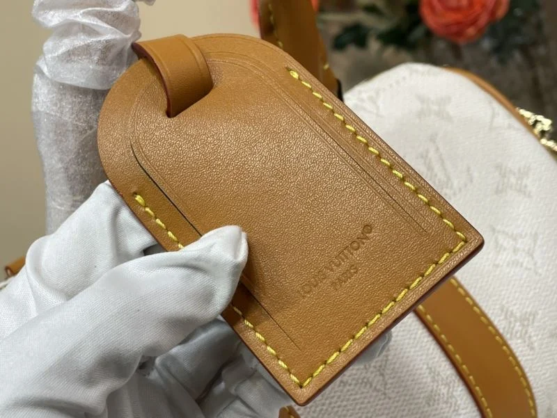 Louis Vuitton Speedy Bags Modern 40464