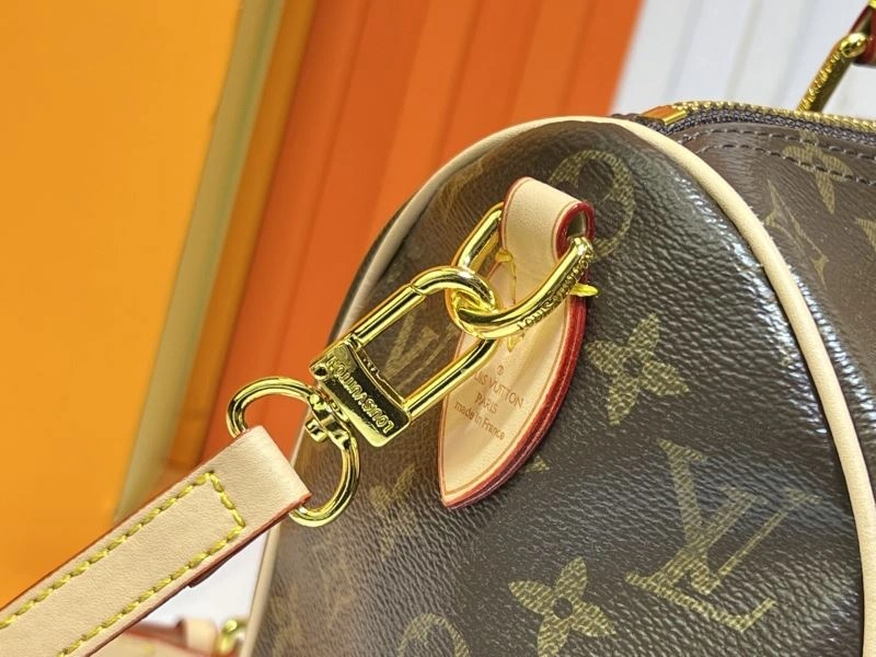 Colorful Louis Vuitton Speedy Bags 79391