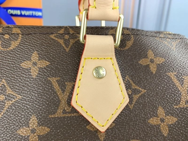Louis Vuitton Speedy Bags Elegant 79344