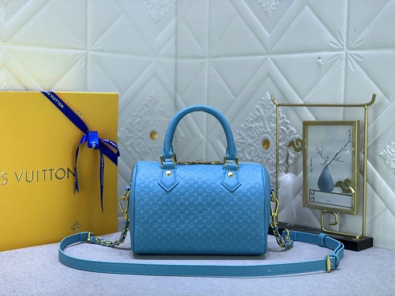Louis Vuitton Speedy Bags EasyCare 79339