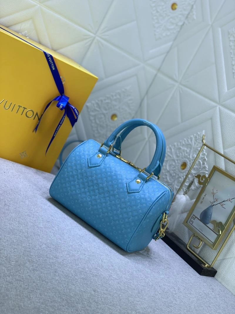 Louis Vuitton Speedy Bags EasyCare 79339