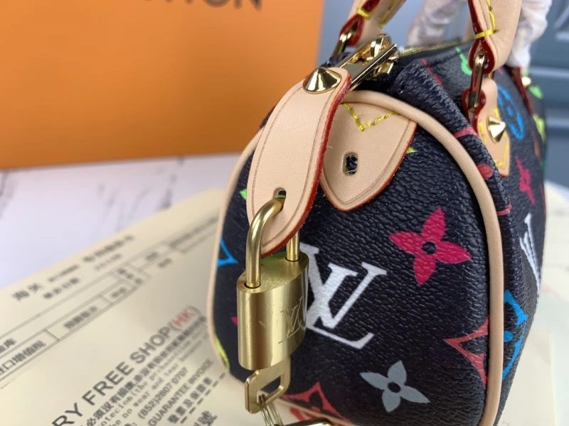 Modern Louis Vuitton Speedy Bags 79333
