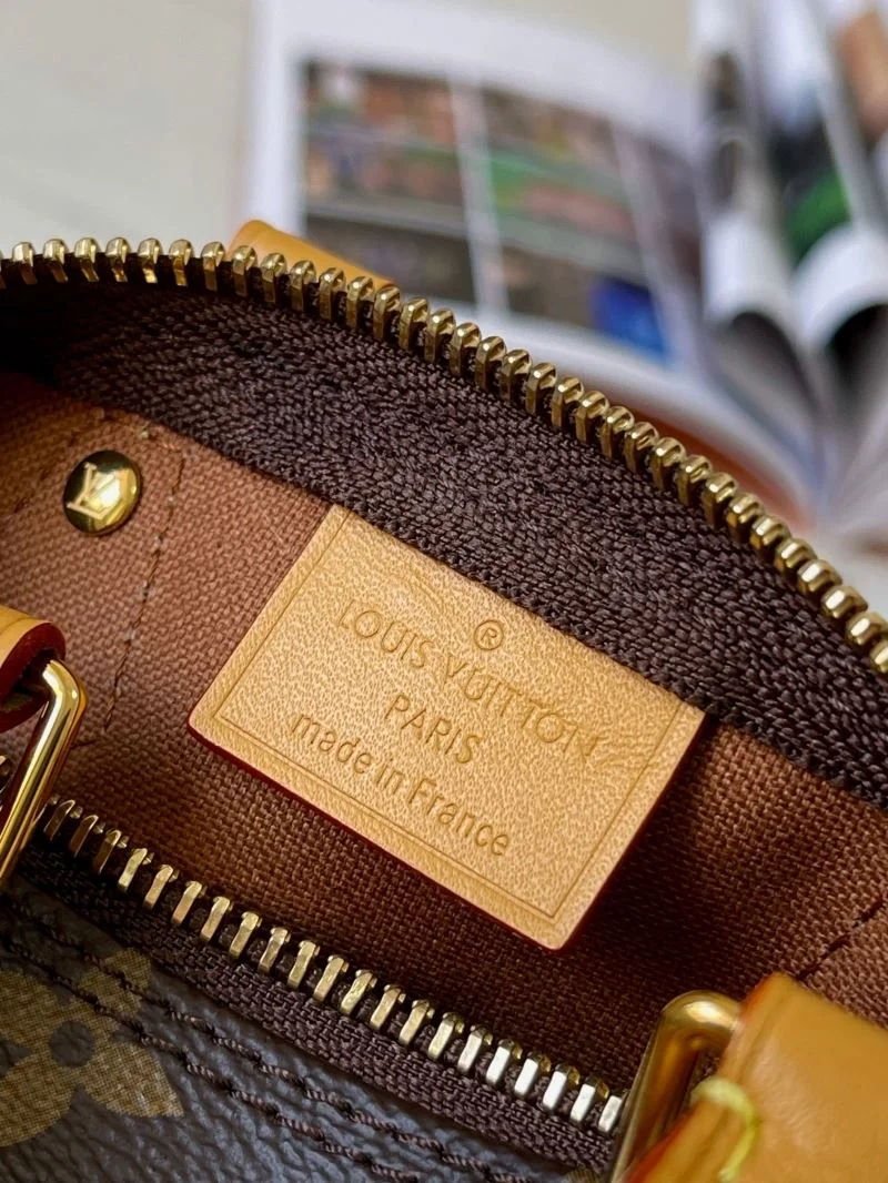 Louis Vuitton Speedy Bags Sophisticated 39406