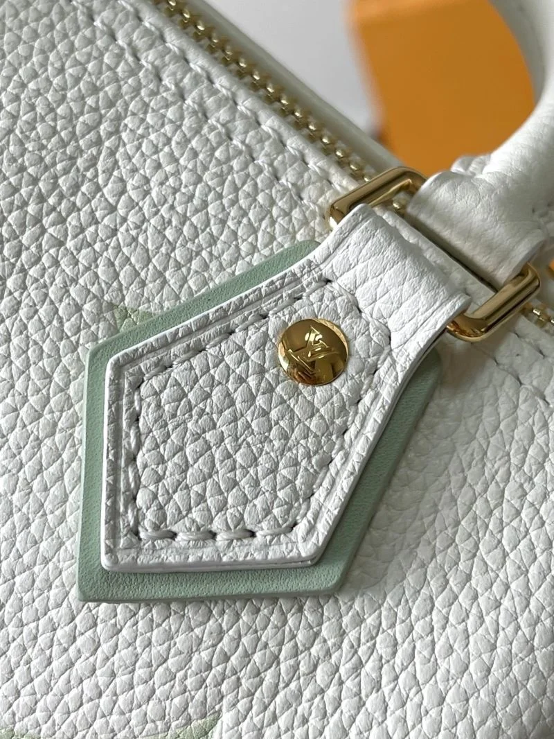 Original Louis Vuitton Speedy Bags 39399