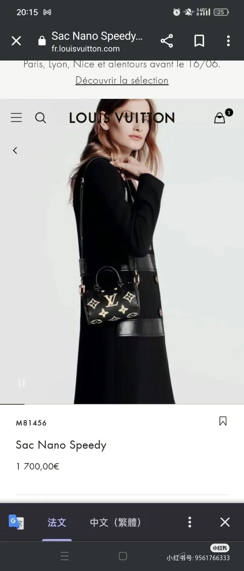 Affordable Louis Vuitton Speedy Bags 39396