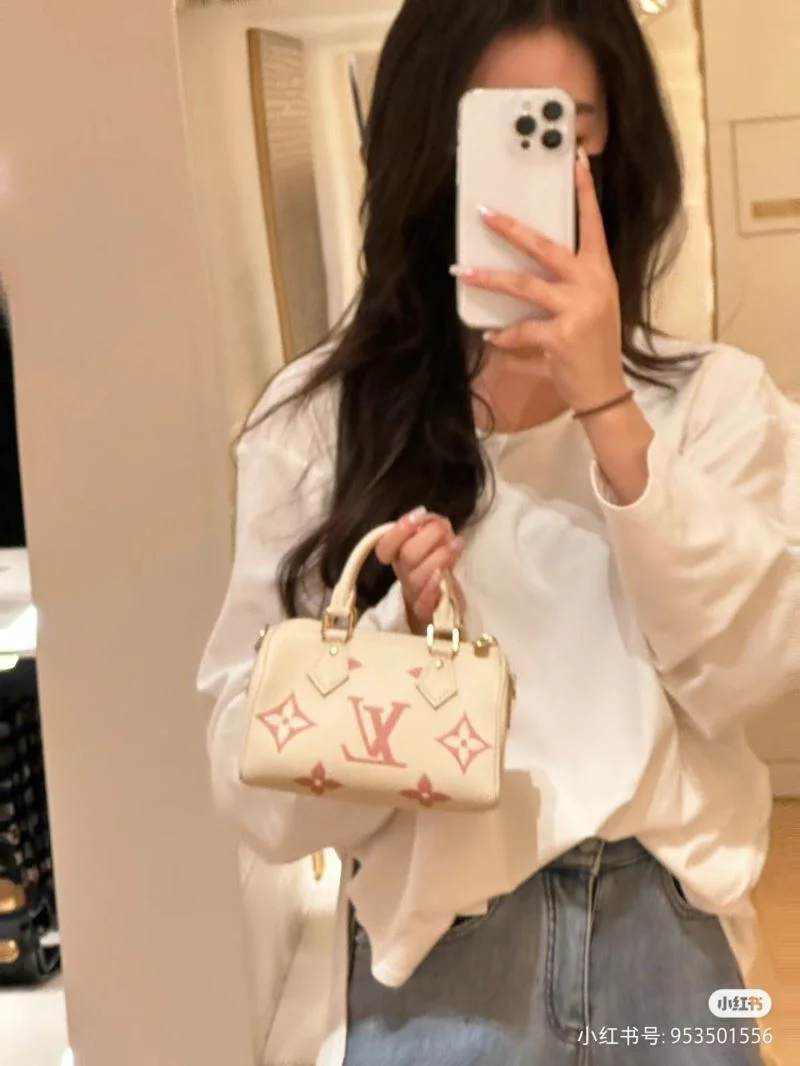 GoAnywhere Louis Vuitton Speedy Bags 39410