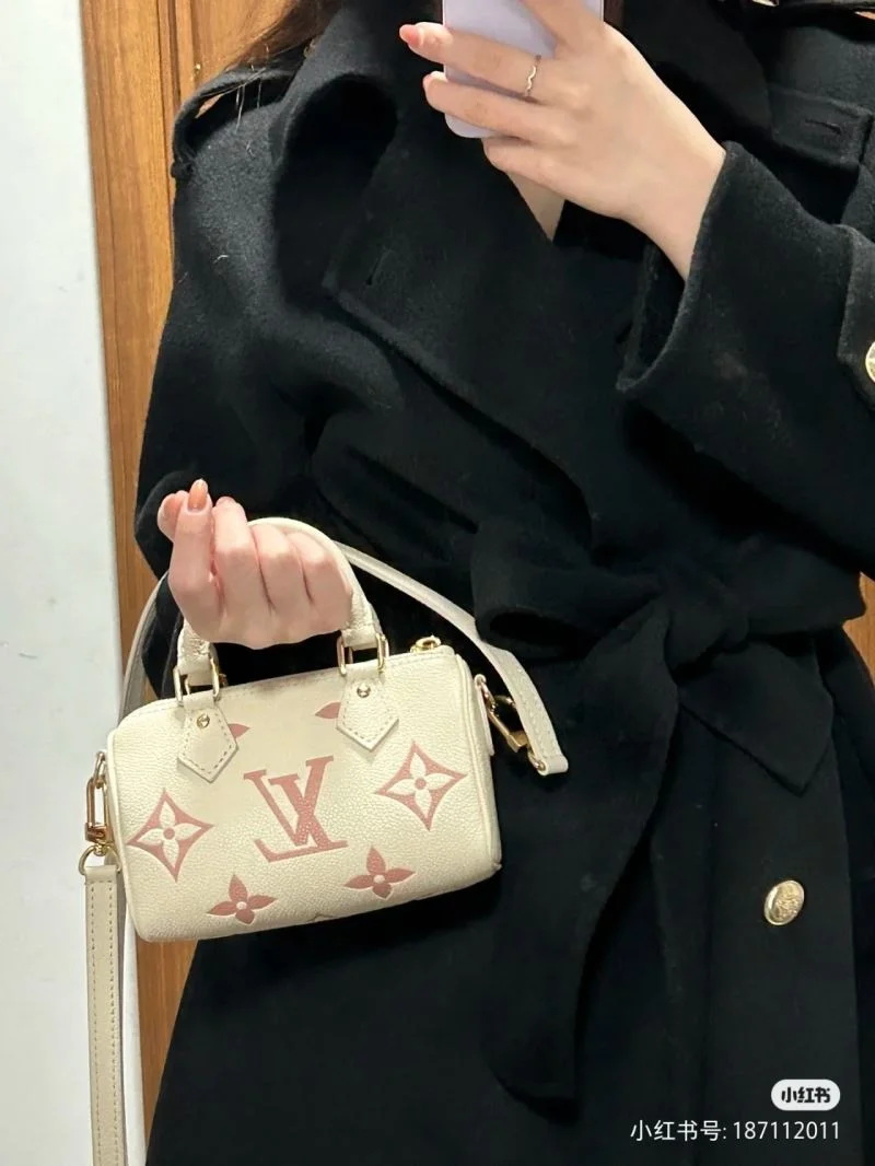 GoAnywhere Louis Vuitton Speedy Bags 39410