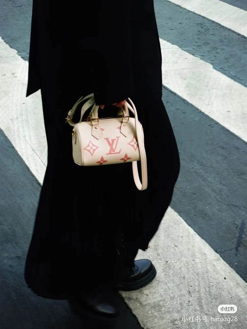 GoAnywhere Louis Vuitton Speedy Bags 39410