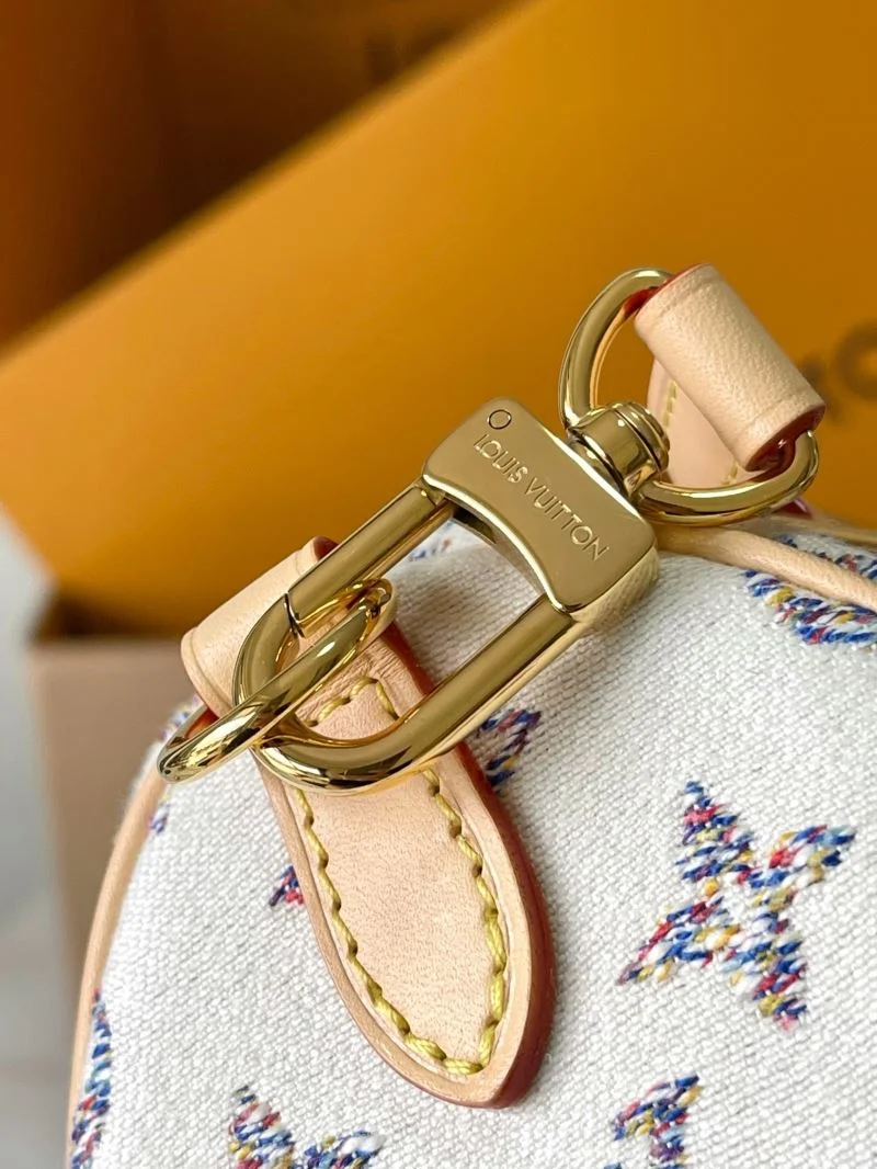 Colorful Louis Vuitton Speedy Bags 39407