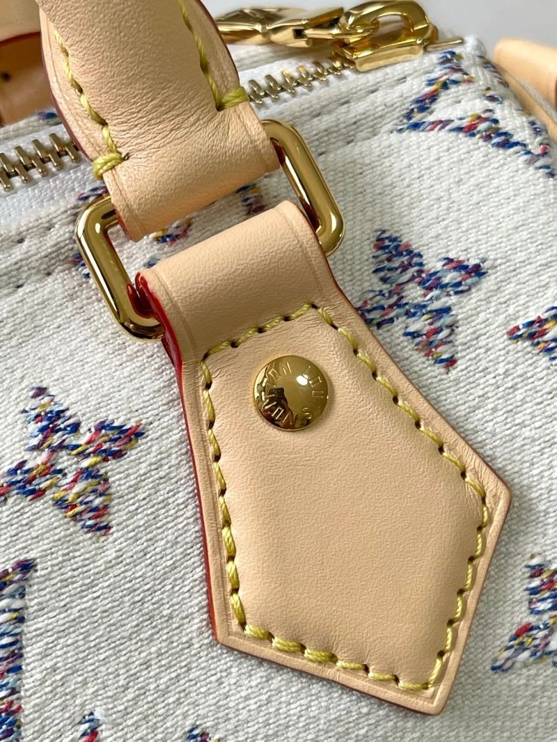 Colorful Louis Vuitton Speedy Bags 39407
