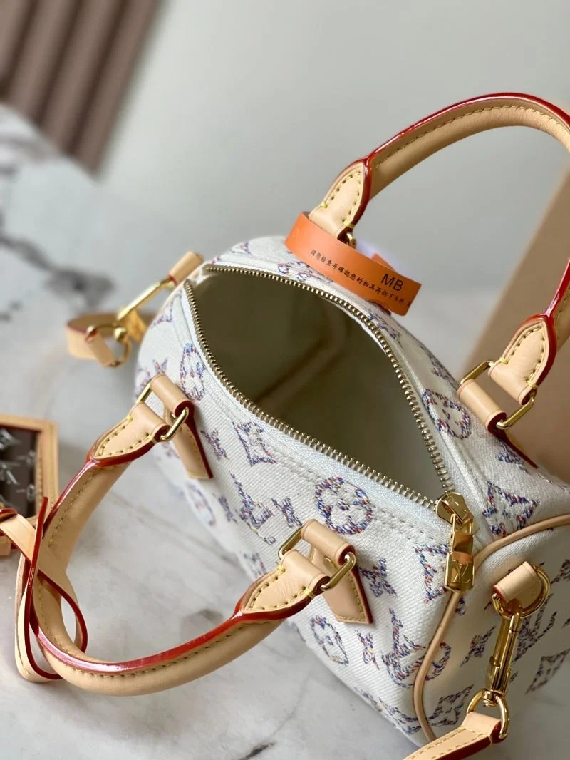 Colorful Louis Vuitton Speedy Bags 39407