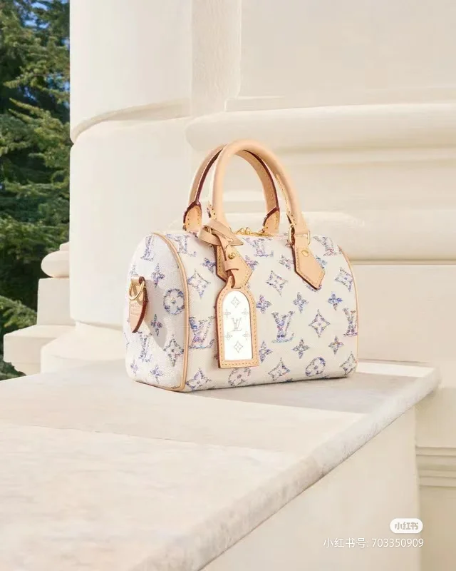 Colorful Louis Vuitton Speedy Bags 39407