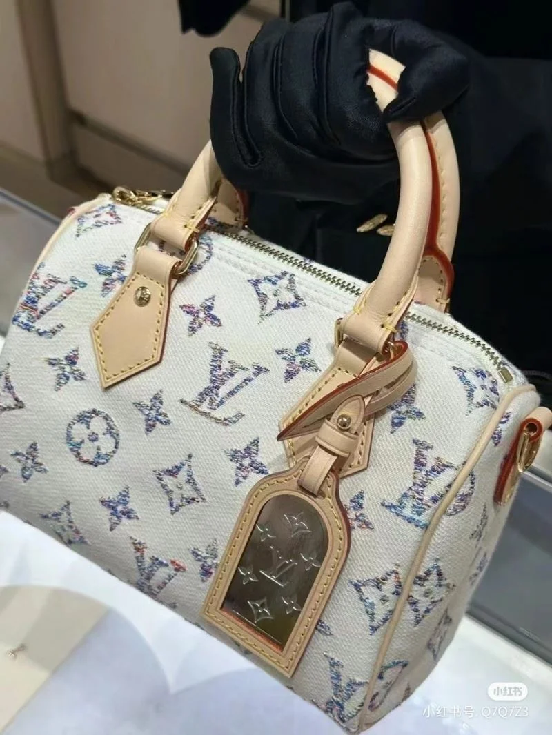 Colorful Louis Vuitton Speedy Bags 39407