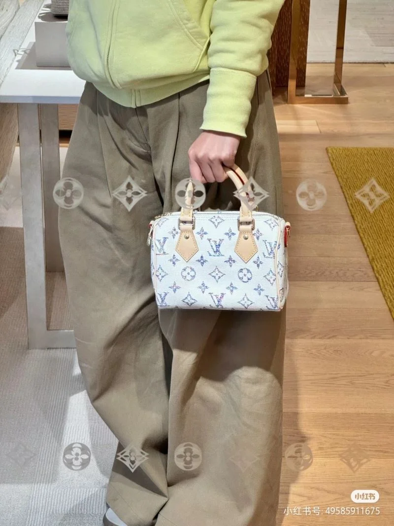 Colorful Louis Vuitton Speedy Bags 39407