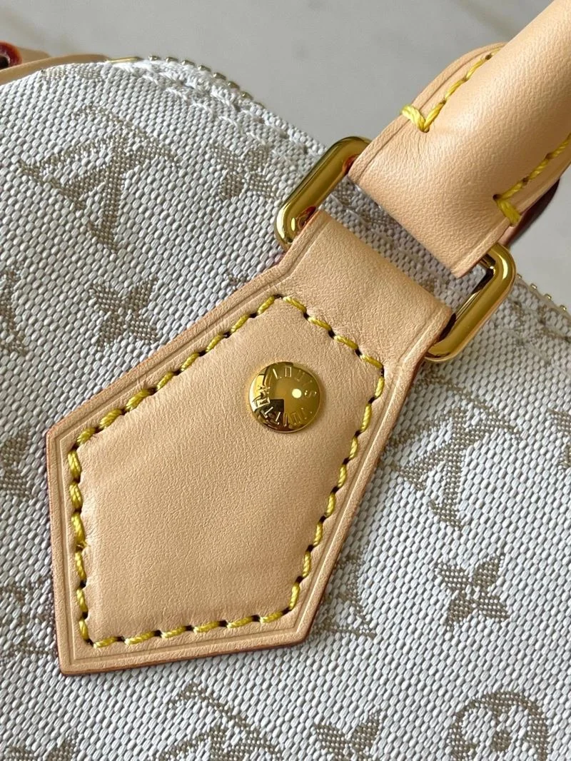 Louis Vuitton Speedy Bags Lightweight 39385