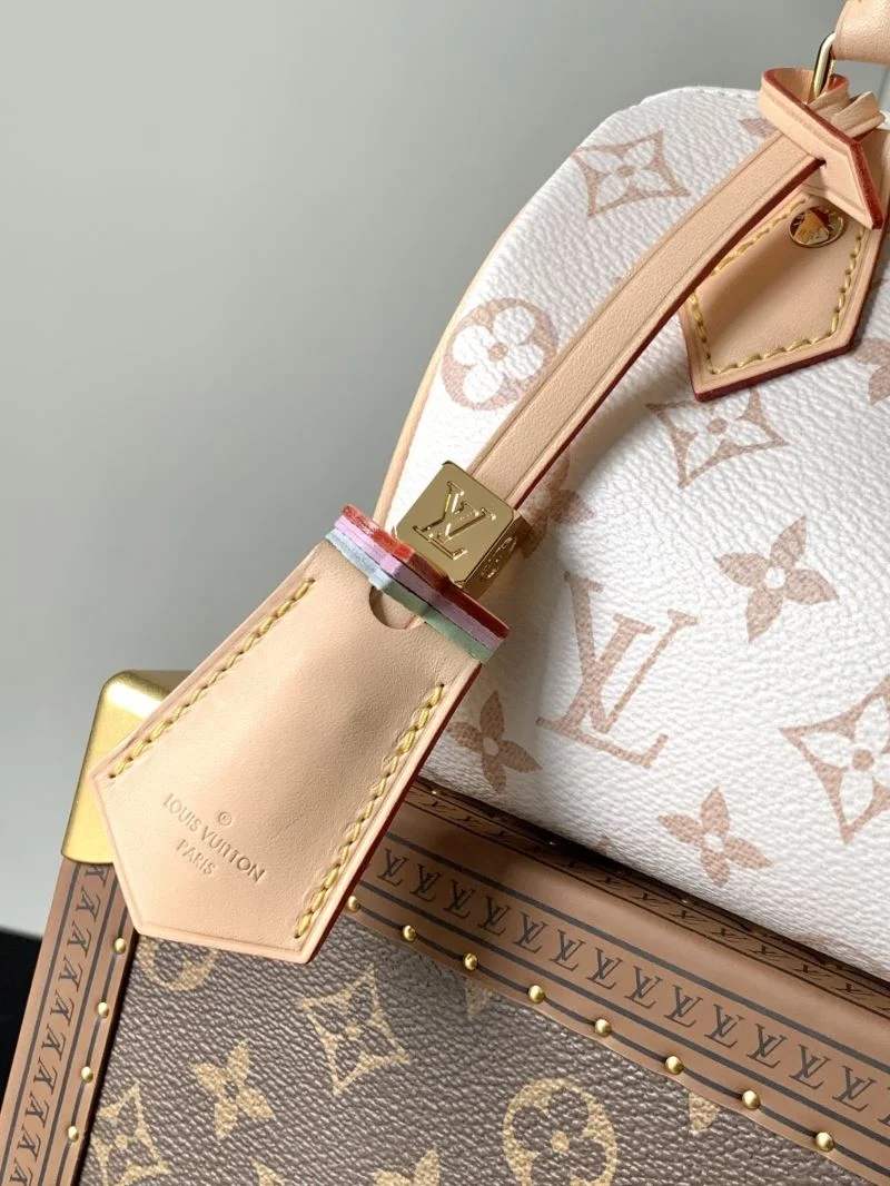 Soft Louis Vuitton Speedy Bags 38783