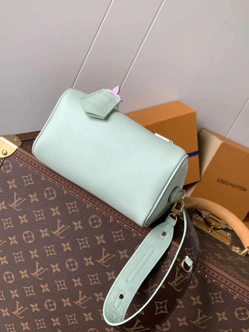 Snug Louis Vuitton Speedy Bags 38781