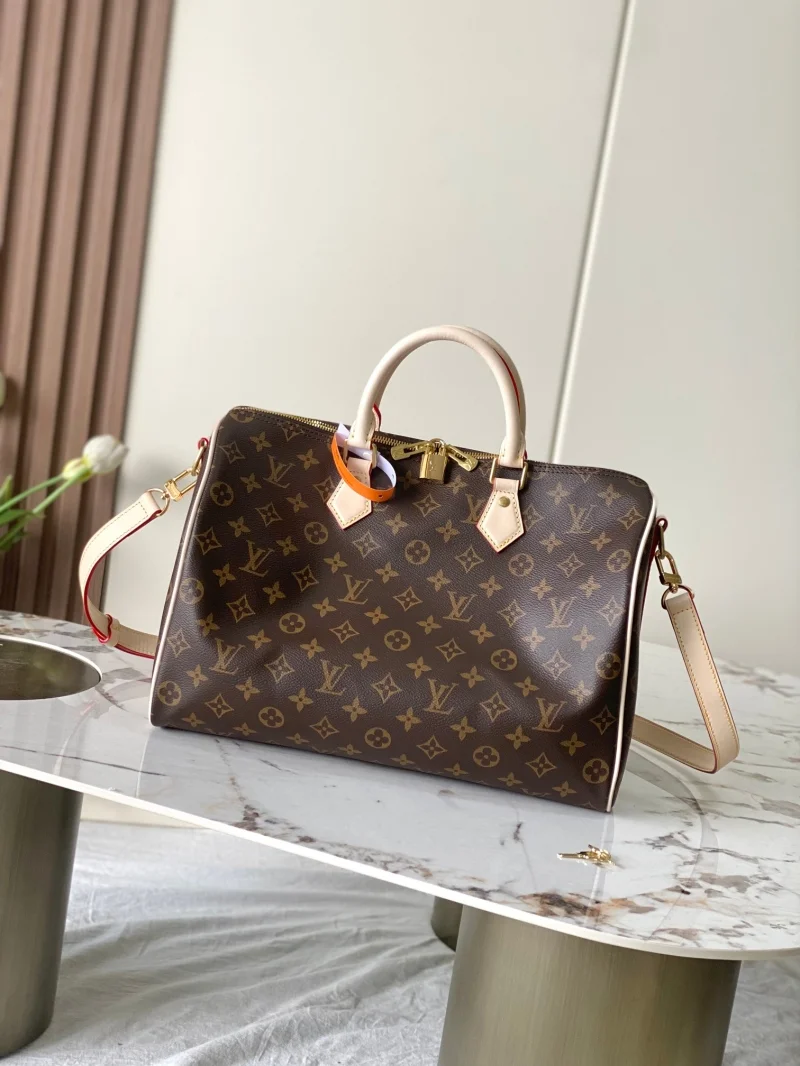 Louis Vuitton Speedy Bags EasyCare 38755