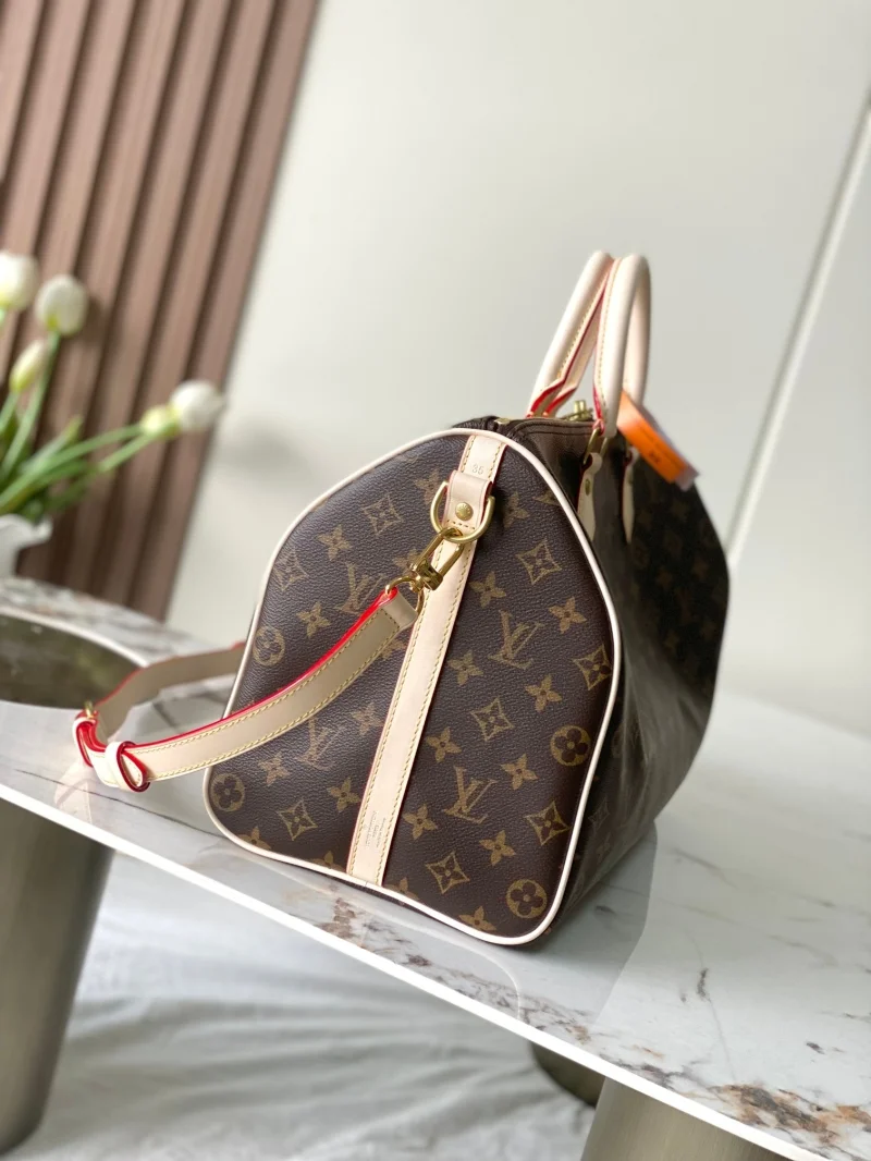 Louis Vuitton Speedy Bags EasyCare 38755