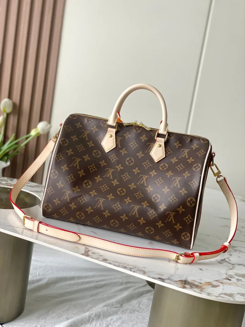 Louis Vuitton Speedy Bags EasyCare 38755