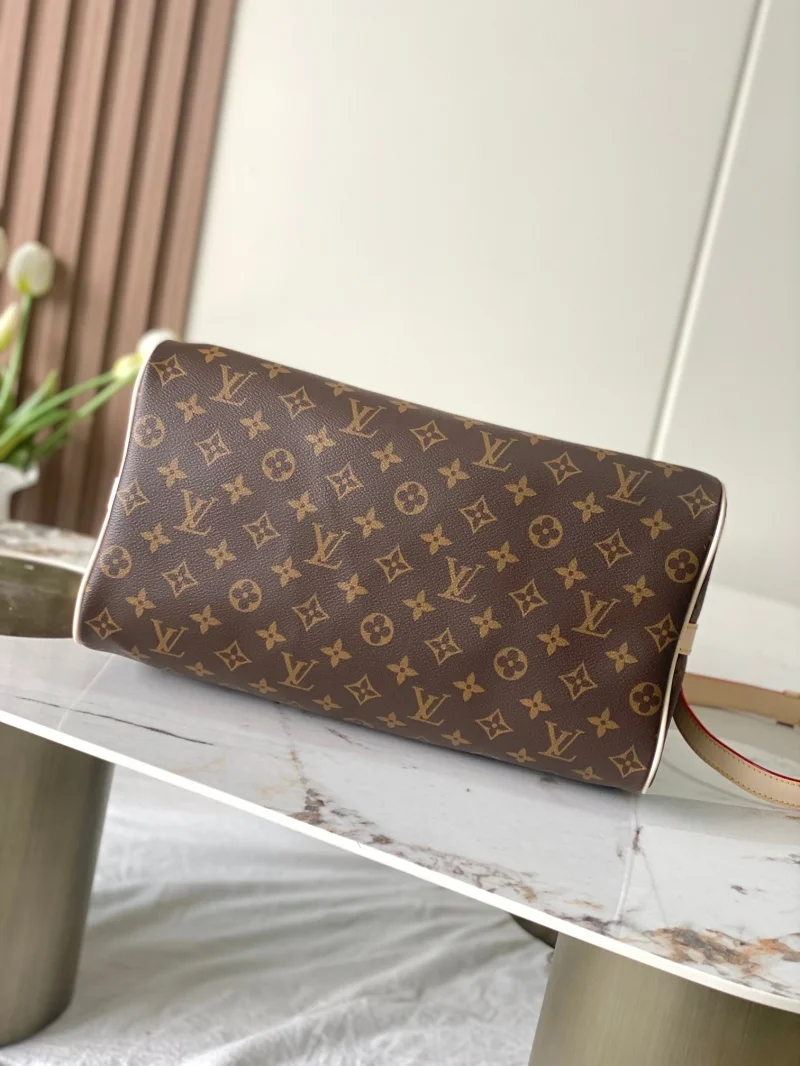 Louis Vuitton Speedy Bags EasyCare 38755