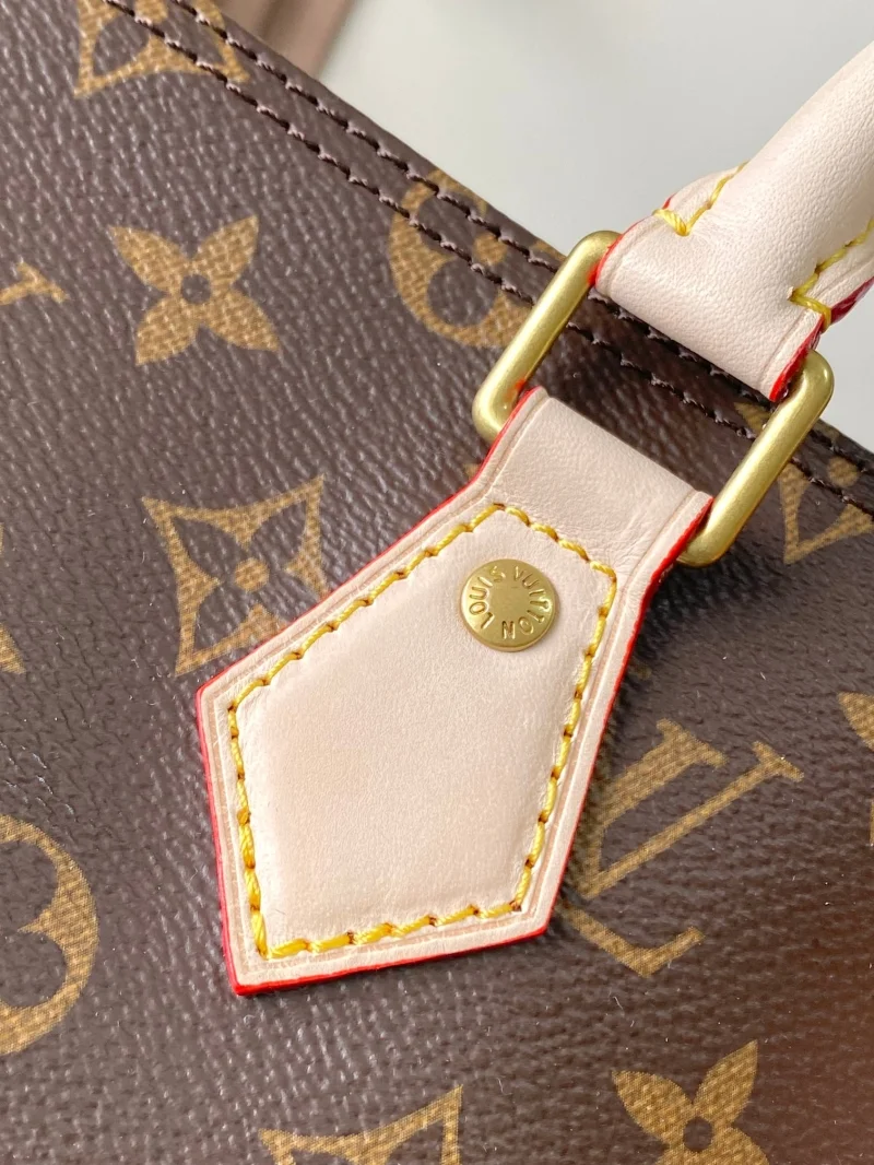 Louis Vuitton Speedy Bags EasyCare 38755