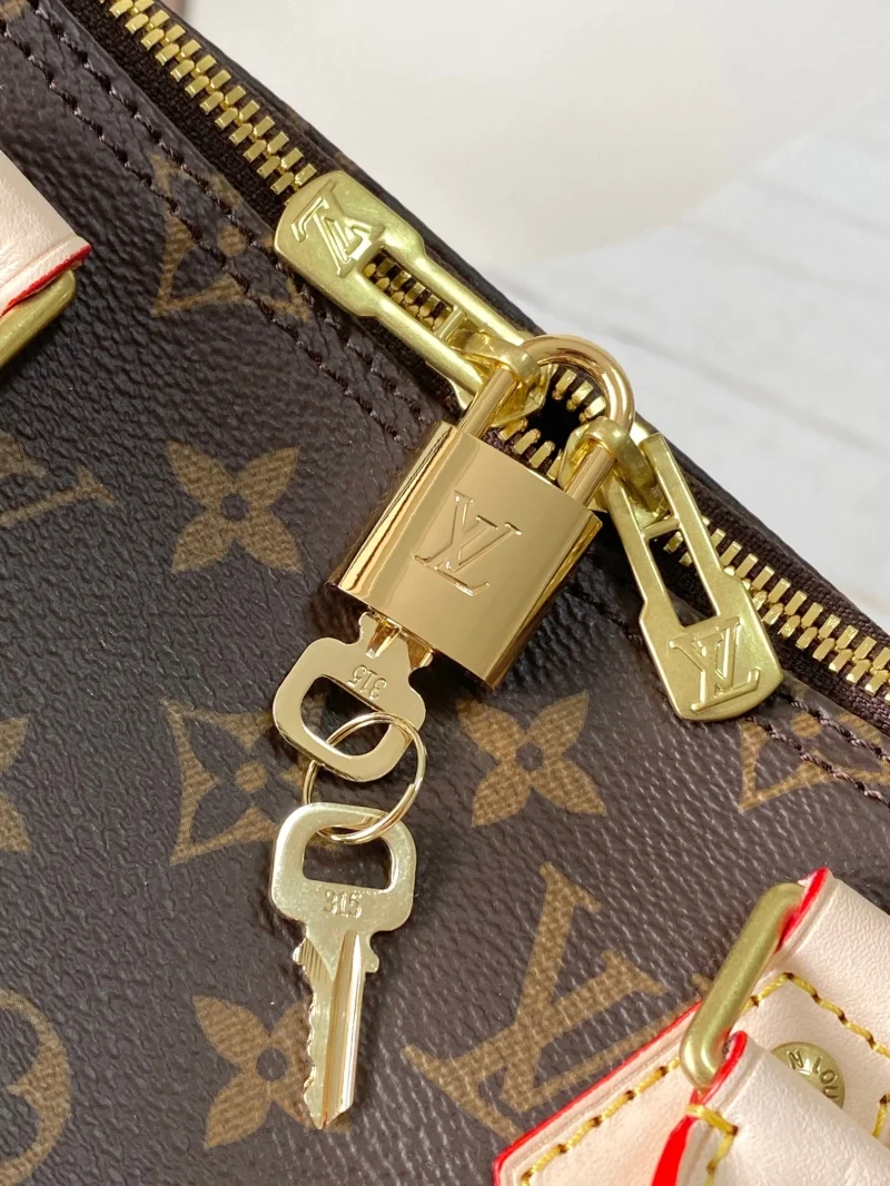 Louis Vuitton Speedy Bags EasyCare 38755