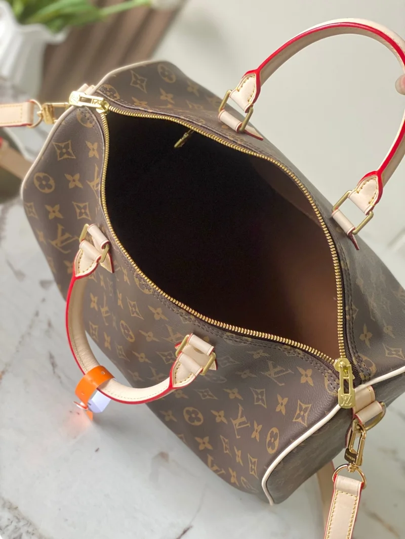 Louis Vuitton Speedy Bags EasyCare 38755