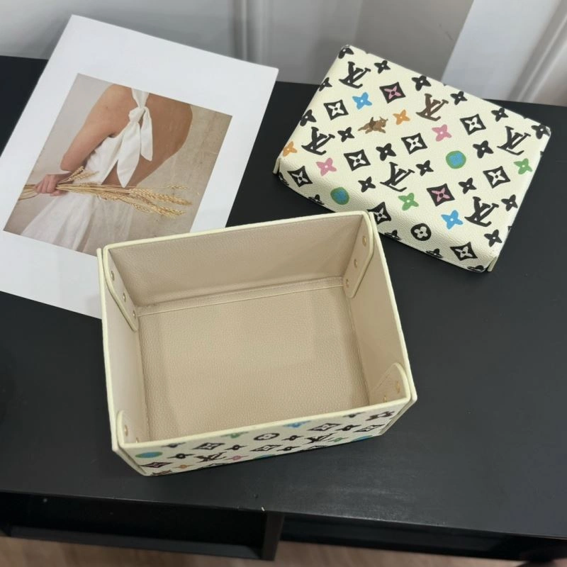 GoAnywhere Louis Vuitton Storage Boxes 274730