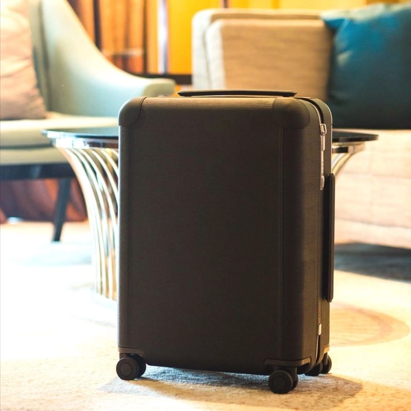 GoAnywhere Louis Vuitton Suitcase 65534