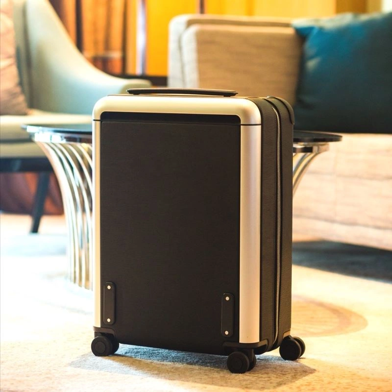 GoAnywhere Louis Vuitton Suitcase 65534