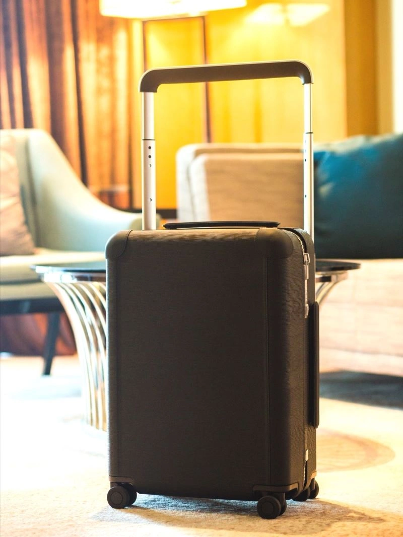 GoAnywhere Louis Vuitton Suitcase 65534