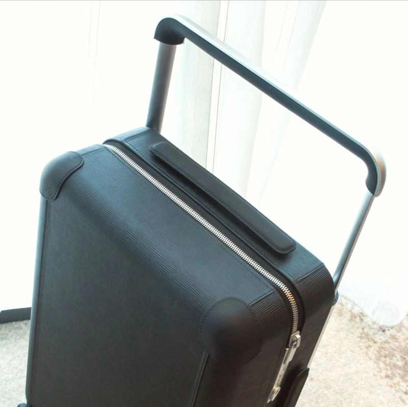 GoAnywhere Louis Vuitton Suitcase 65534