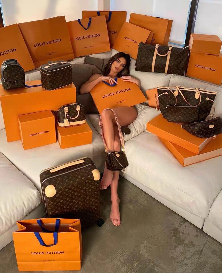 Louis Vuitton Suitcase Stretchable 65410