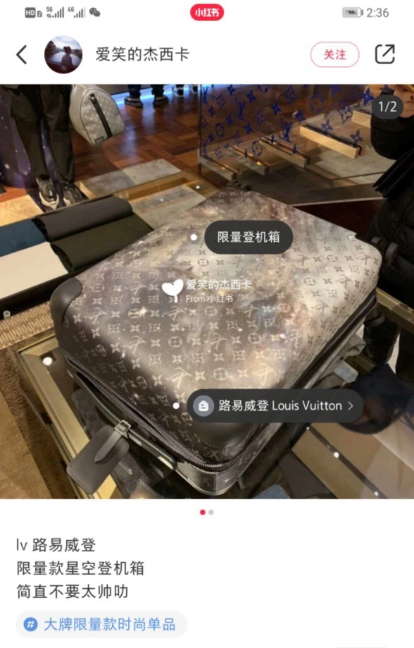 Louis Vuitton Suitcase Trendsetting 65415