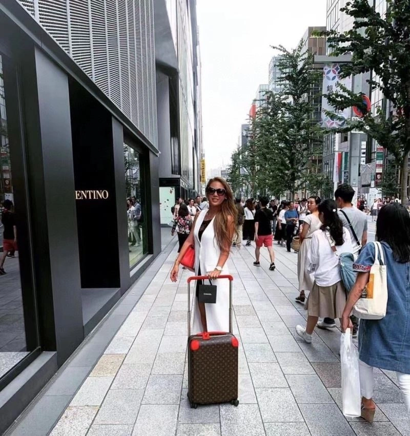 Louis Vuitton Suitcase SmartChoice 65399