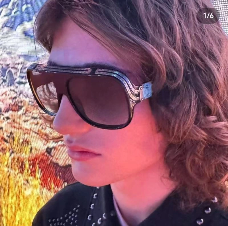Louis Vuitton Sunglasses Trendy 281218