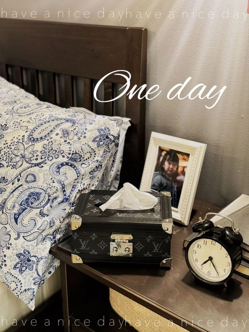 Soft Louis Vuitton Tissue Boxes 274719