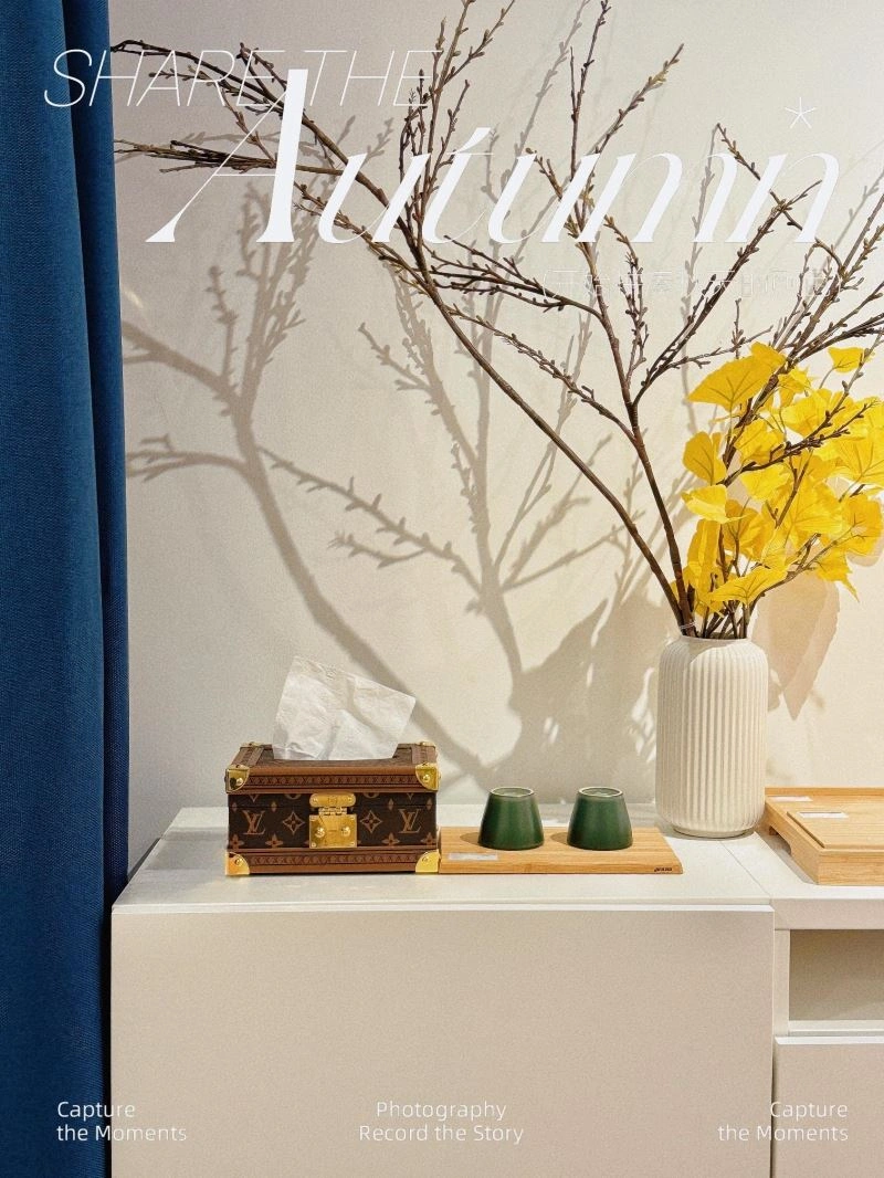 SportInspired Louis Vuitton Tissue Boxes 274708